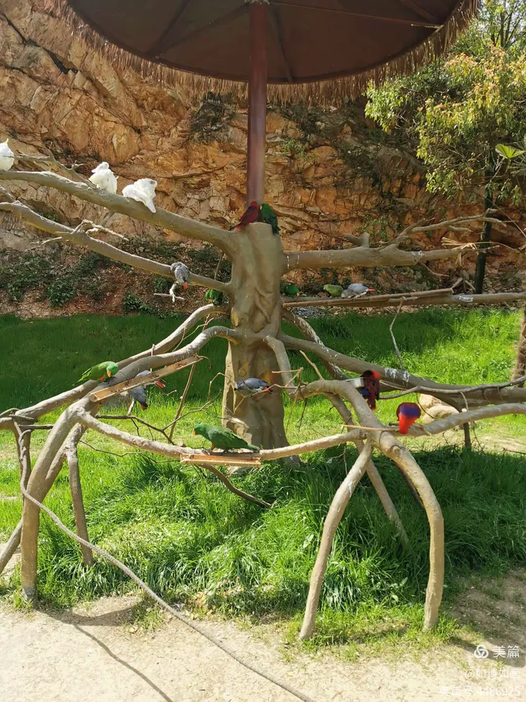 2021.3.22日武汉野生动物园